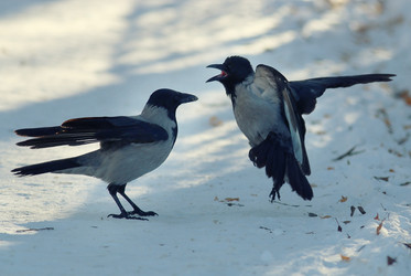 Similar image 10530602