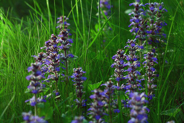 Similar image 10530637