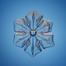 Similar image 10530639