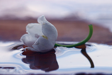 Similar image 10530651