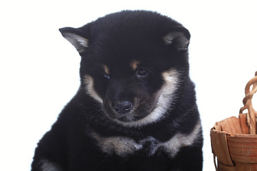 Similar image 10530658