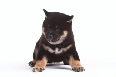 Similar image 10530661