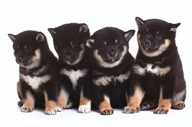 Similar image 10530666