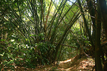 Similar image 10530671