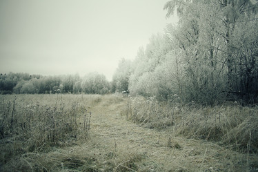 Similar image 10530672