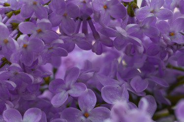 Similar image 10530689