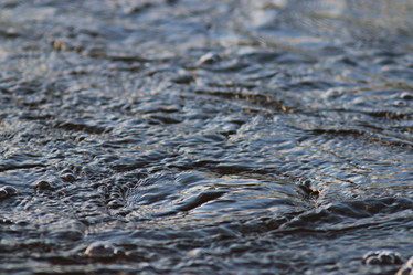 Similar image 10530690