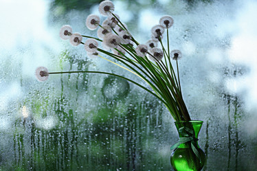 Similar image 10530692