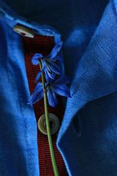 Similar image 10530743