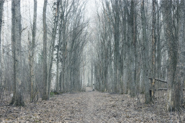 Similar image 10530756