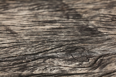 Similar image 10530757