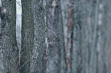 Similar image 10530763