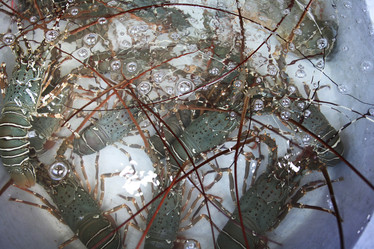 Similar image 10530766