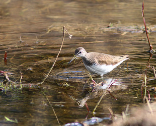 Similar image 10530767