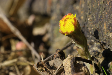 Similar image 10530772