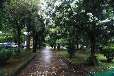 Similar image 10530829