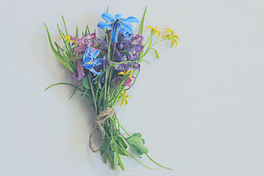 Similar image 10530867