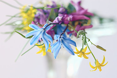 Similar image 10530869