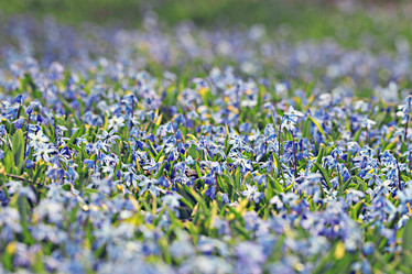 Similar image 10530872