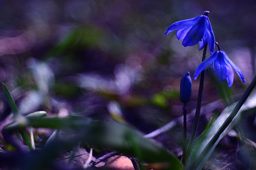 Similar image 10530874