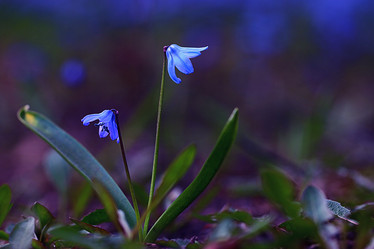 Similar image 10530875