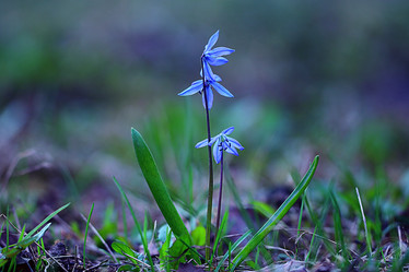 Similar image 10530877