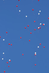 Similar image 10530888