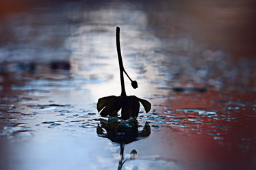 Similar image 10531009