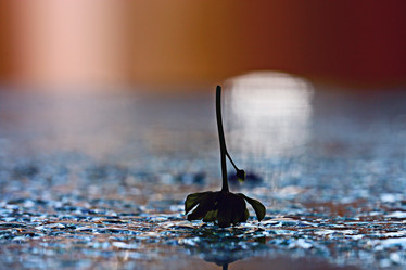 Similar image 10531010