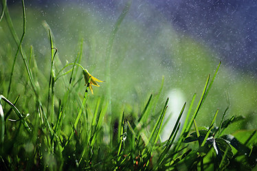 Similar image 10531011