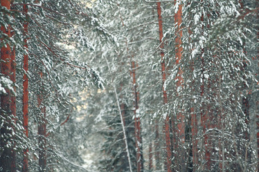 Similar image 10531024