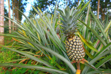 Similar image 10531031