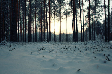 Similar image 10531059