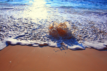 Similar image 10531114