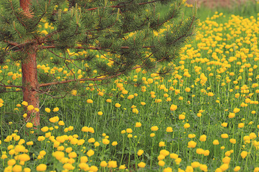 Similar image 10531138