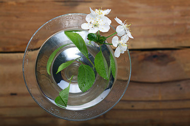 Similar image 10531143