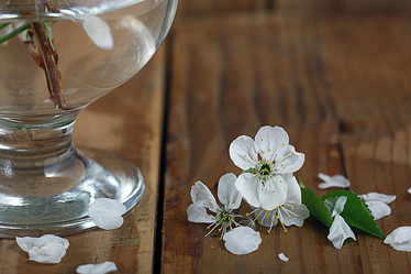 Similar image 10531149