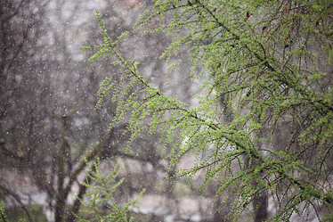 Similar image 10531151