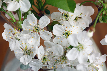 Similar image 10531152