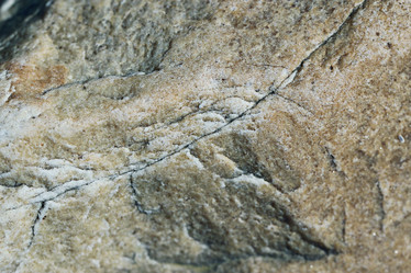 Similar image 10531158