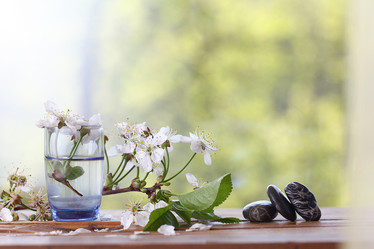 Similar image 10531159