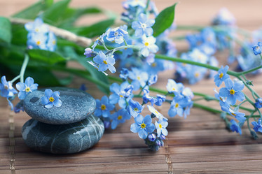 Similar image 10531199