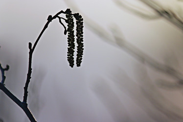 Similar image 10531204