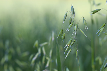 Similar image 10531402