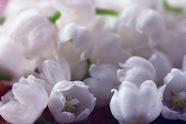 Similar image 10531422