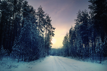 Similar image 10531423