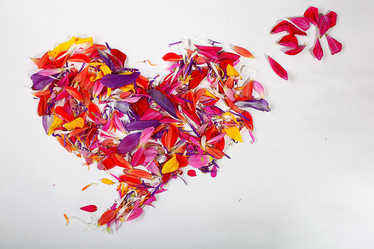 Similar image 10531457