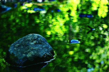 Similar image 10531459