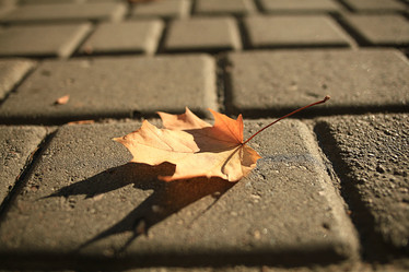 Similar image 10531463