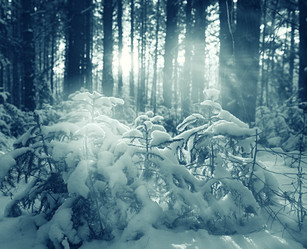 Similar image 10531479